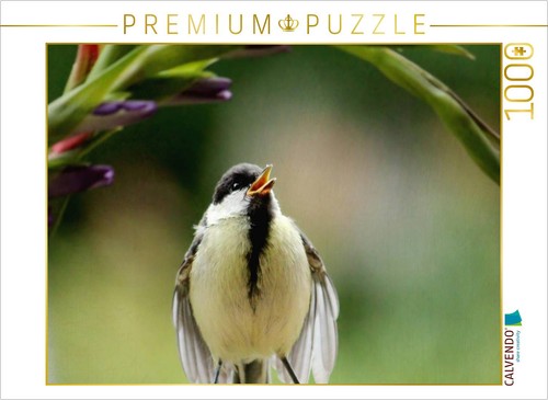 Calvendo puzzle lustig - calvendo,