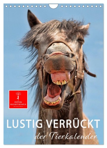 Lustig verrückt der - -,