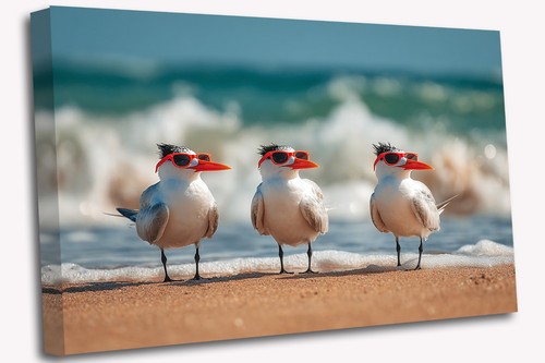Lustige vögel meer - lustige,