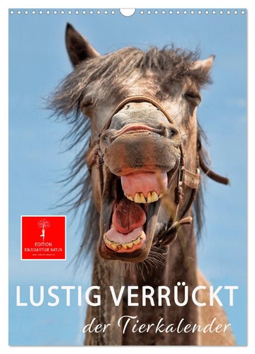 Lustig verrückt der - verrückt,