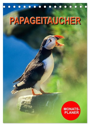 Papageitaucher monatsplaner - papageitaucher,