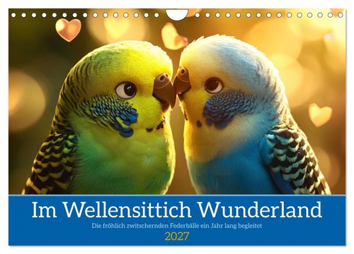 Wellensittich wunderland - wellensittich,