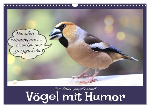 Vögel mit humor - mit, (wandkalender
