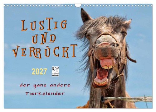 Lustig und verrückt - -, der