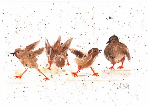 Aquarellbild lustige vögel - ,