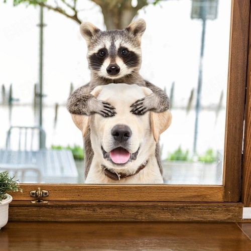 Fensterbild hunde - 3d,